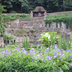 Plantation Garden, Norwich