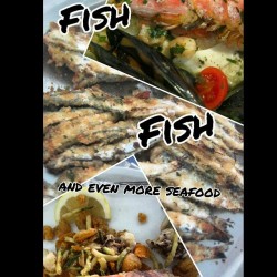 Fisch, Nahrung, Essen, Riccione