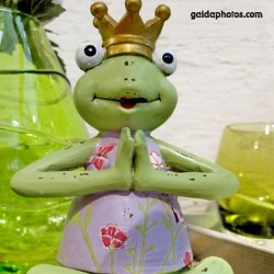 Frosch, Froschkönig, Yoga, Meditation