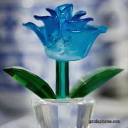 Glas, Blume, blau