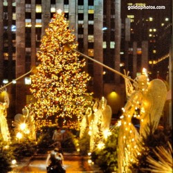 Weihnachten, Weihnachtsbaum, Rockefeller Center. New York, NY, Big Apple