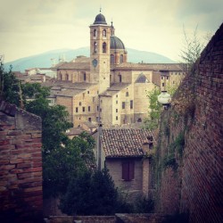 Urbino Ansicht