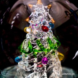 Weihnachten, Weihnachtsbaum, Christbaum