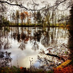 Herbst, See, Bäume, Spiegelung