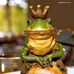 Frosch, Froschkönig, König