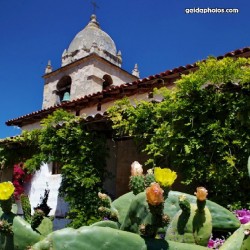 Kirche, Mission, Architektur, Gebäude, Kaktus, Sukkulente, Blüte, Kalifornien, USA