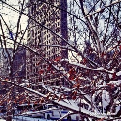 Flatiron Building, USA, NY, Schnee, Winter