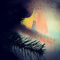 Schatten, Weihnachtsbaum, Tannenbaum, Christbaum