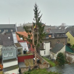 Balkonien, Köln-Rodenkirchen, Baumarbeiten
