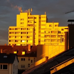 Sonnenuntergang, Köln-Rodenkirchen